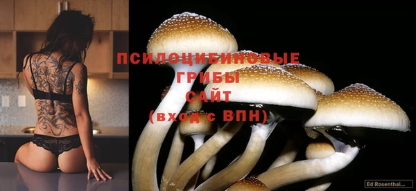 мет Абаза