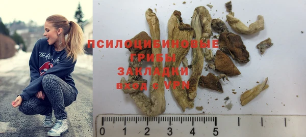 мет Абаза